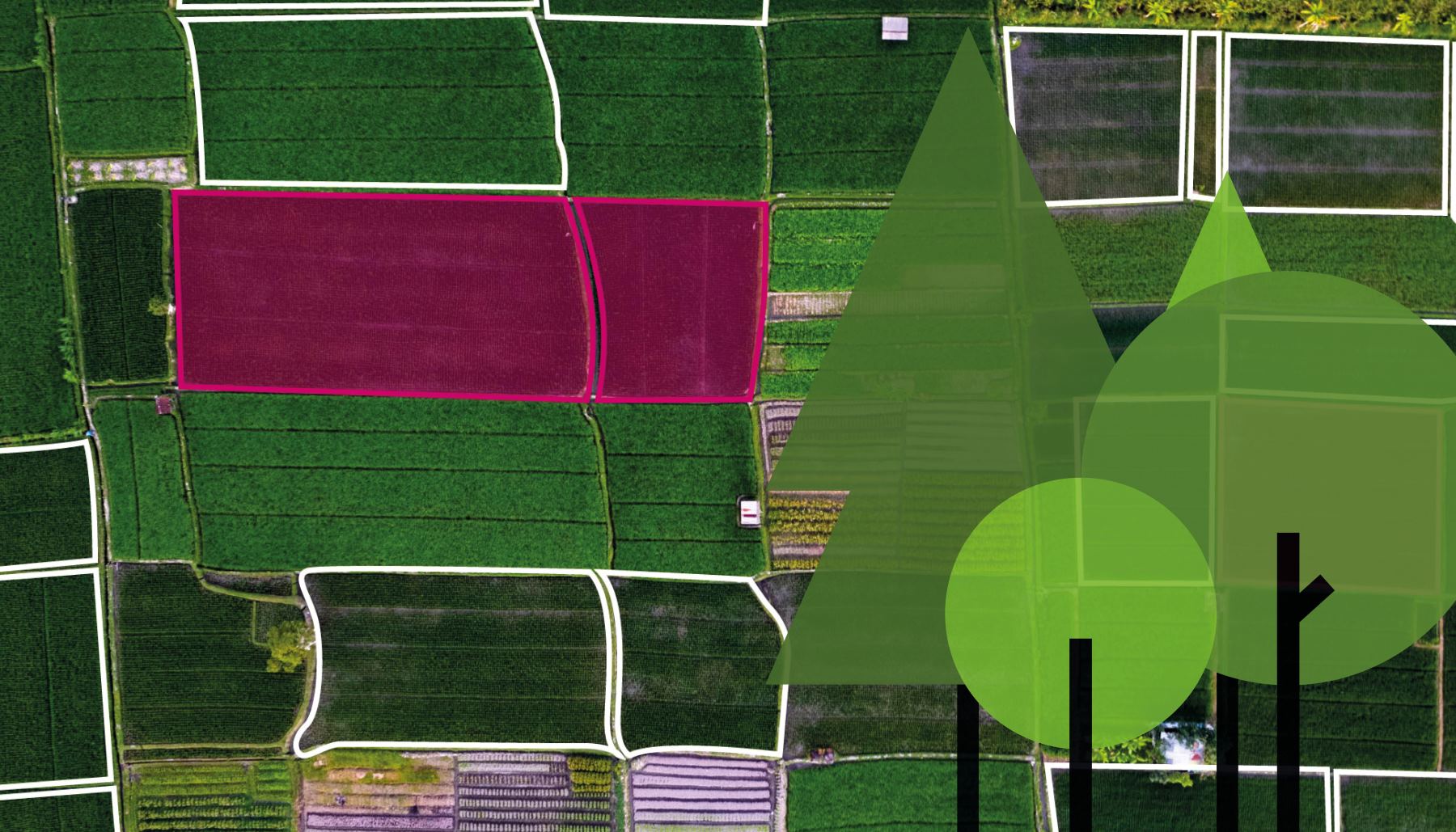 Crop Insights_Homepage3_resized