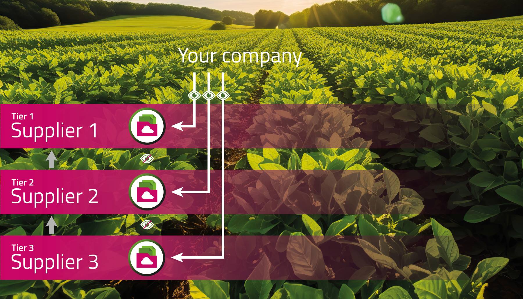 Crop Insights_Homepage4_resized