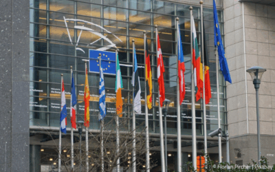 EUDR confusion peaks: Unclear timeline & what companies should do