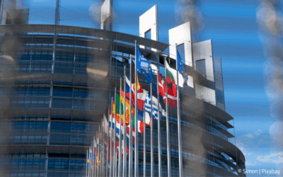 EU Member States Agree on Council Mandate for EUDR Negotiations