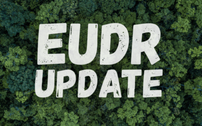 European Parliament Supports One-Year Delay of EUDR Implementation