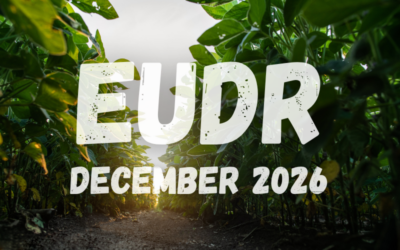 Commission adopts new EUDR measures ahead of December deadline