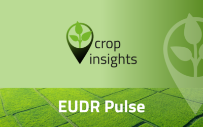 EUDR Pulse – monthly insights & updates