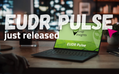 EUDR Pulse October 2026